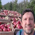 Picking apples and planting churches in North Macedonia